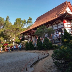 Festival das Lanternas - Suzano/SP